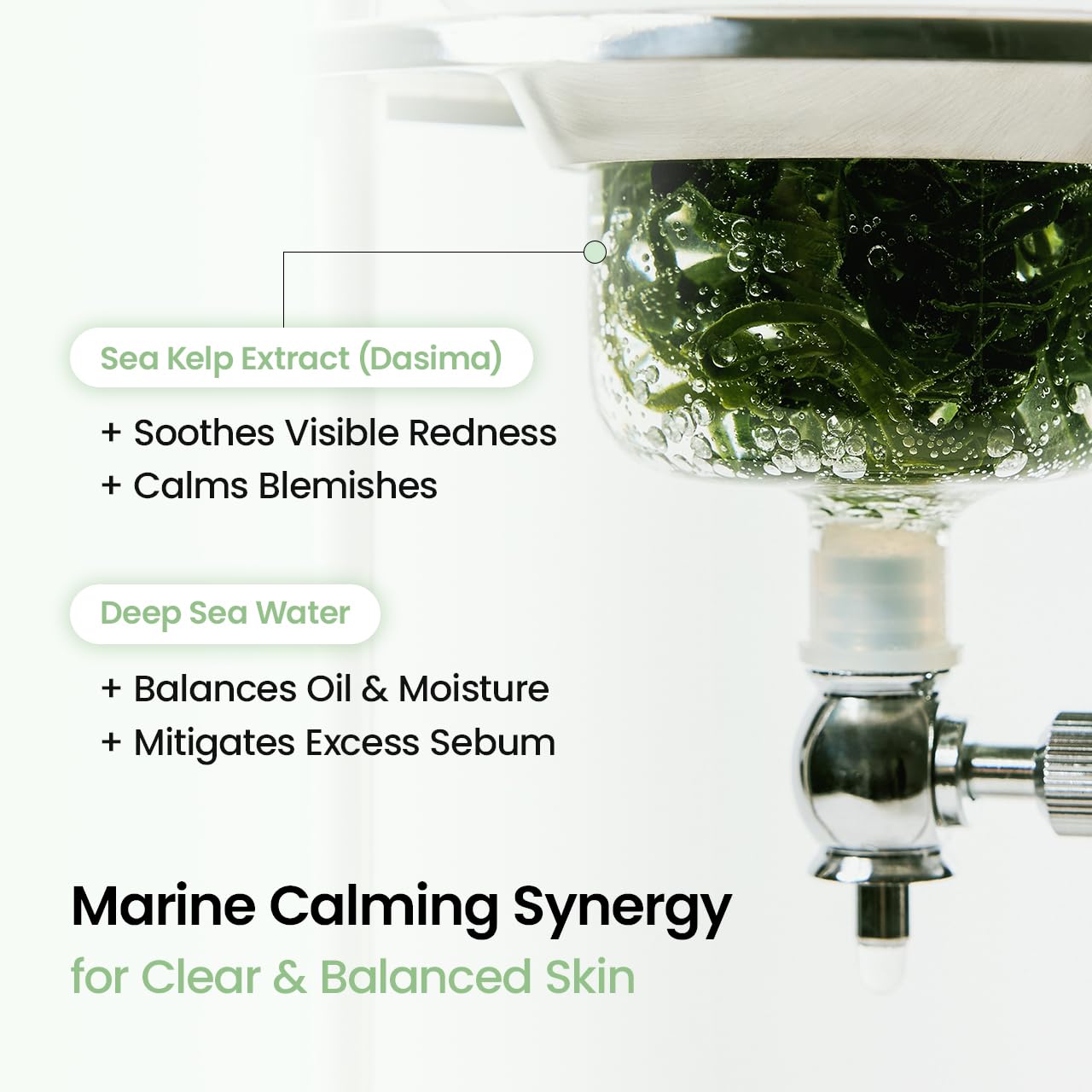 BIODANCE Refreshing Sea kelp Real Deep Mask, Overnight Hydrogel Face Mask, Calming, Oil & Sebum Control, Blemish Care, After Sun Care, Sunburn Relief, Korean Skin Care | 1.19oz(34g)