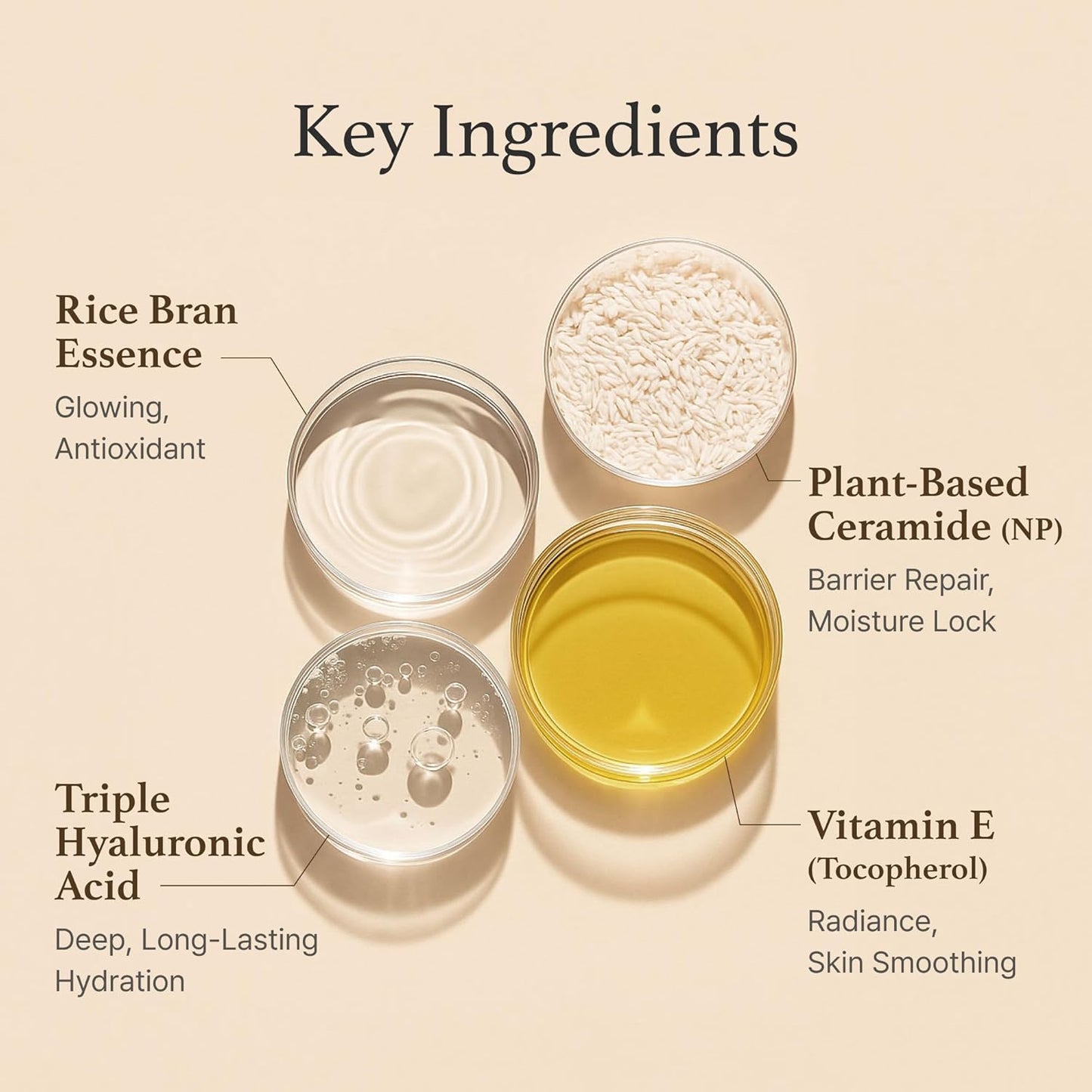I’m From Rice Cream – 41% Rice Bran Moisturizer with Ceramides for Glow (50ml)