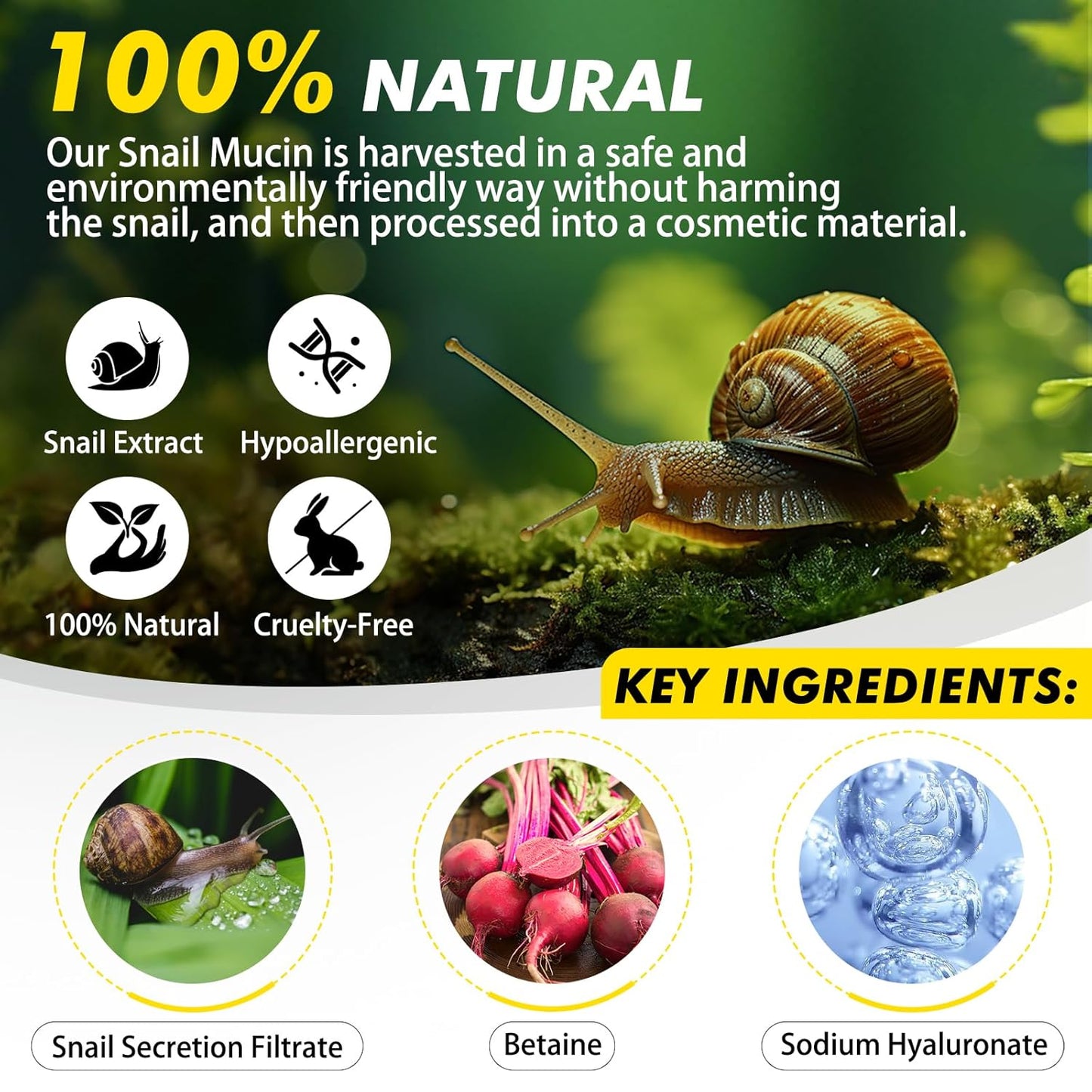 COSRX Advanced Snail 92 All In One Cream 100ml – Korean Repairing & Hydrating Moisturizer